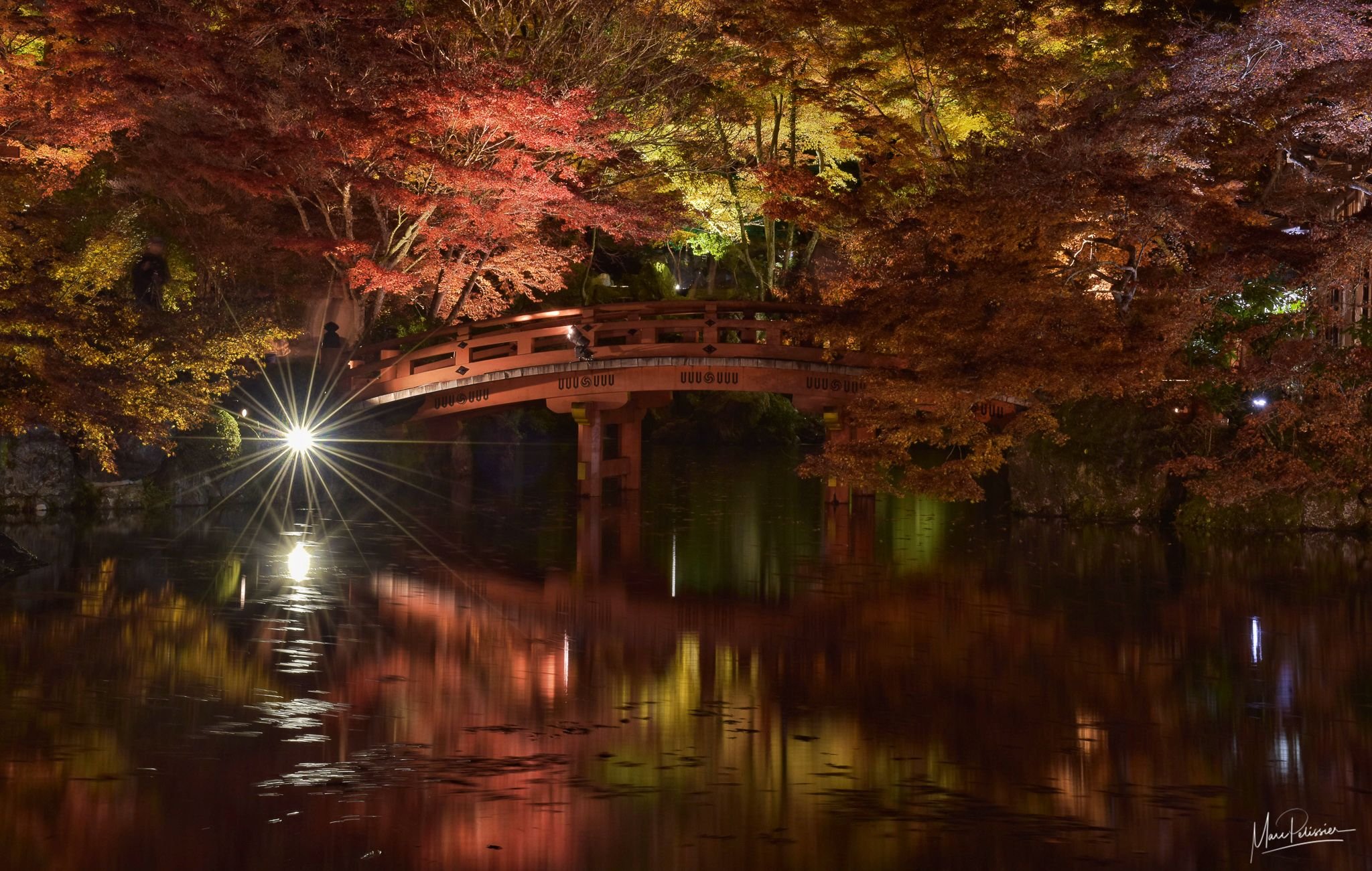 ⛩️ 시노바즈노이케 변천당 (不忍池辨天堂) 이미지 8